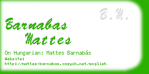 barnabas mattes business card